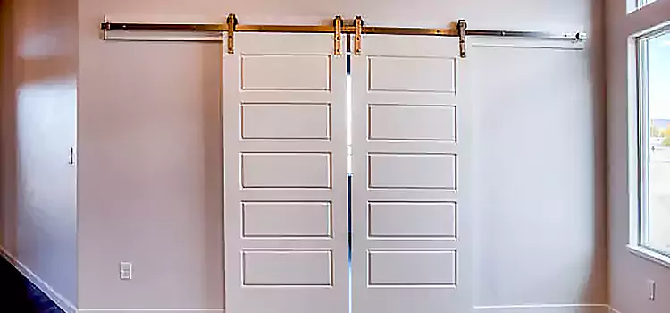 Glass Barn Door with Installation Hardware Kit Schenectady